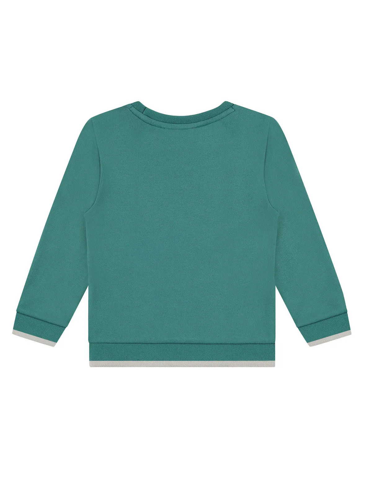 Babyface - Boys cotton sweatshirt-SSA24407457-Green