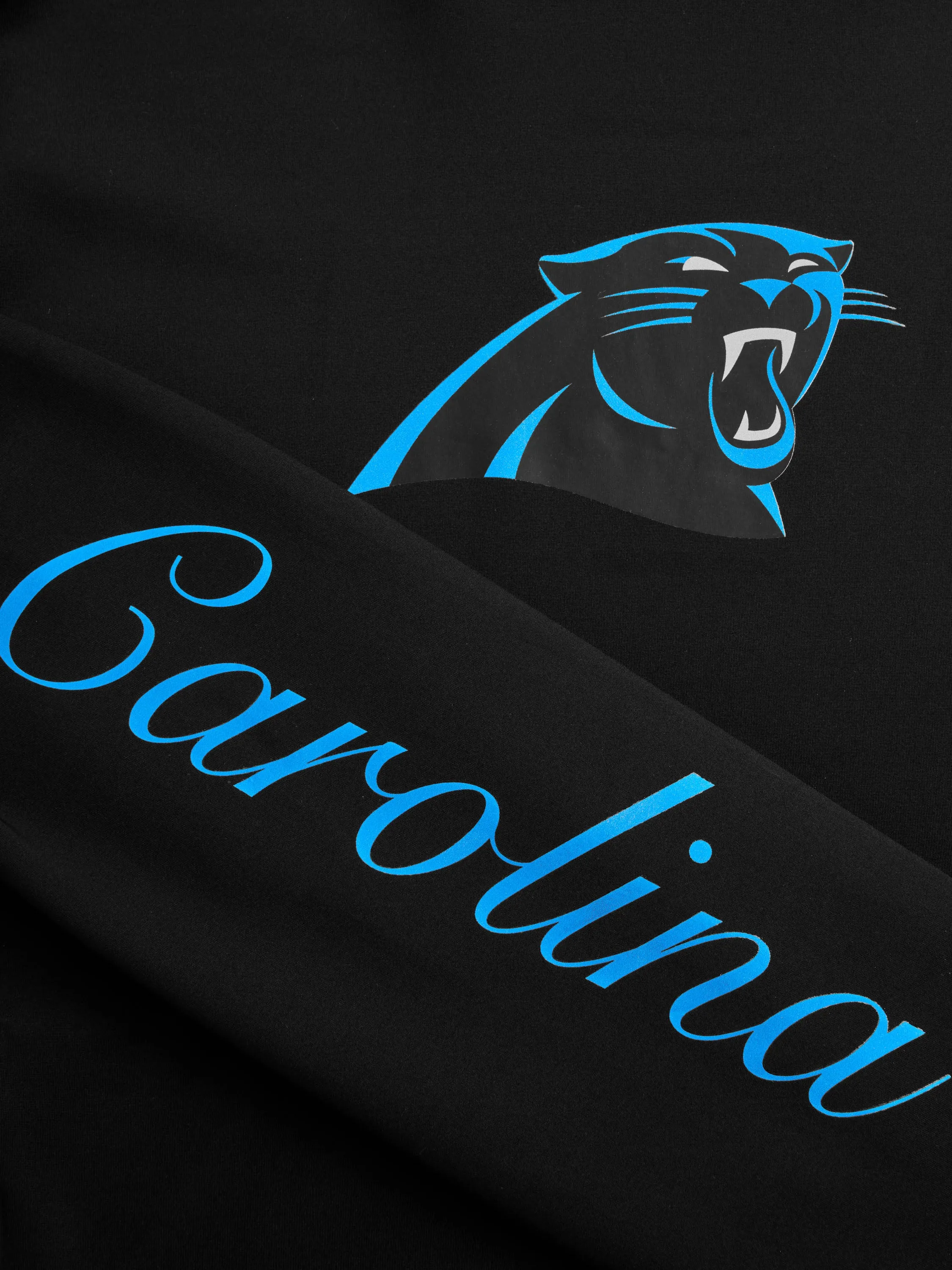 Carolina Panthers Cokato Hoodie