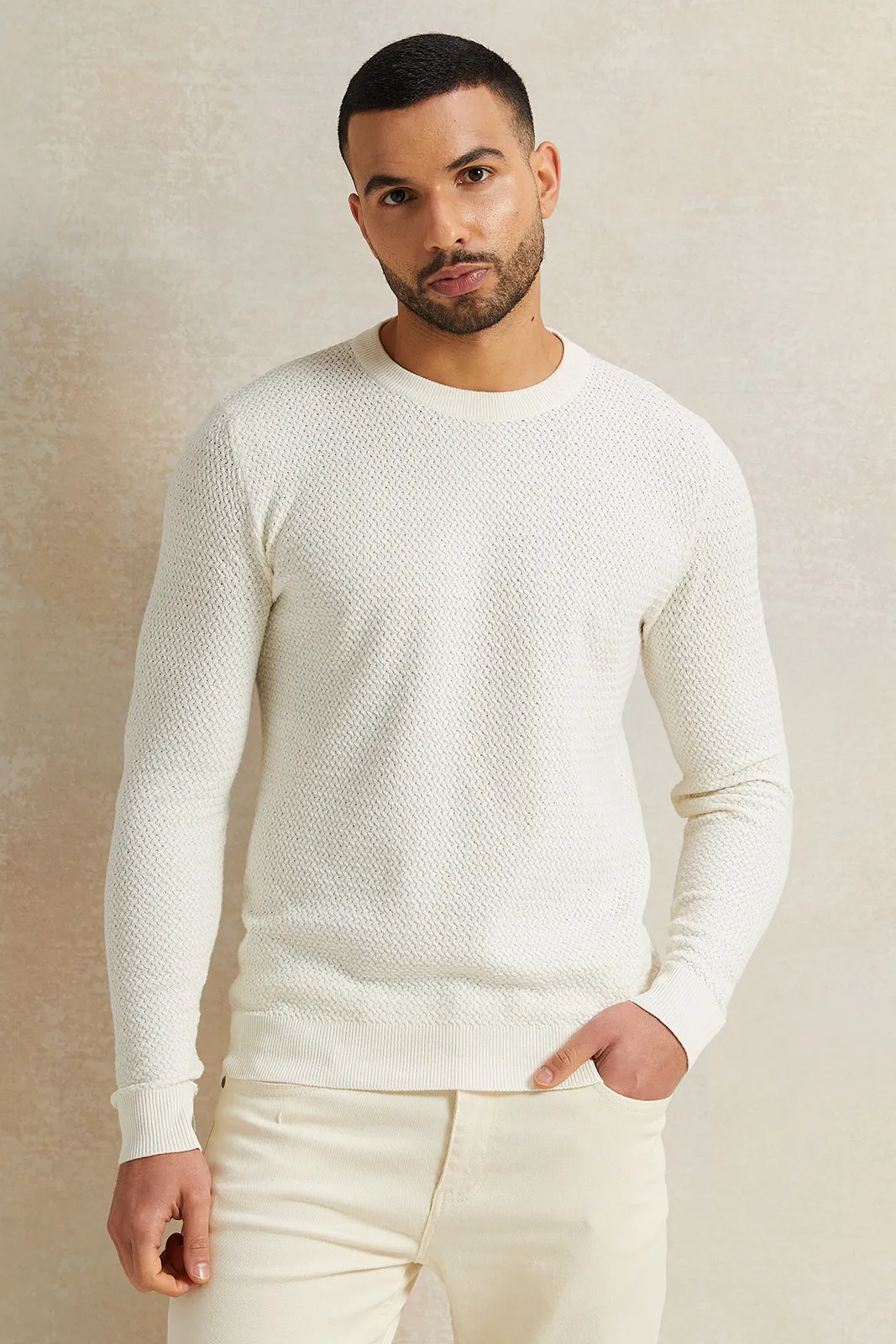 Men Beige Jacquard Pullover