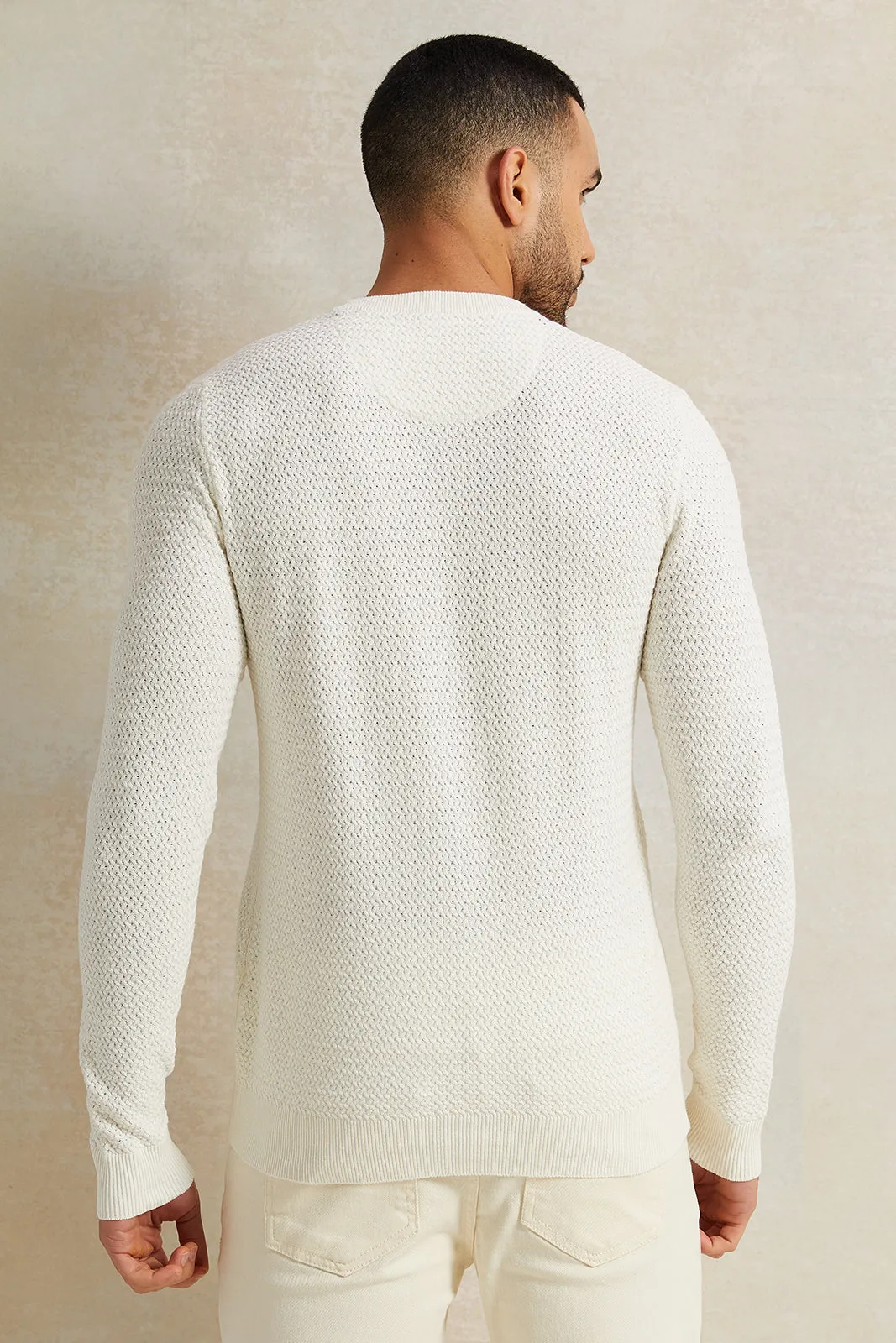 Men Beige Jacquard Pullover