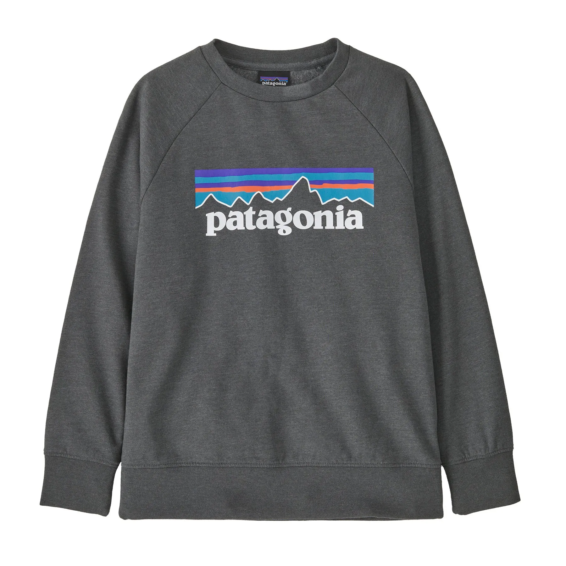 Patagonia Kids Lightweight Crew Sweatshirt