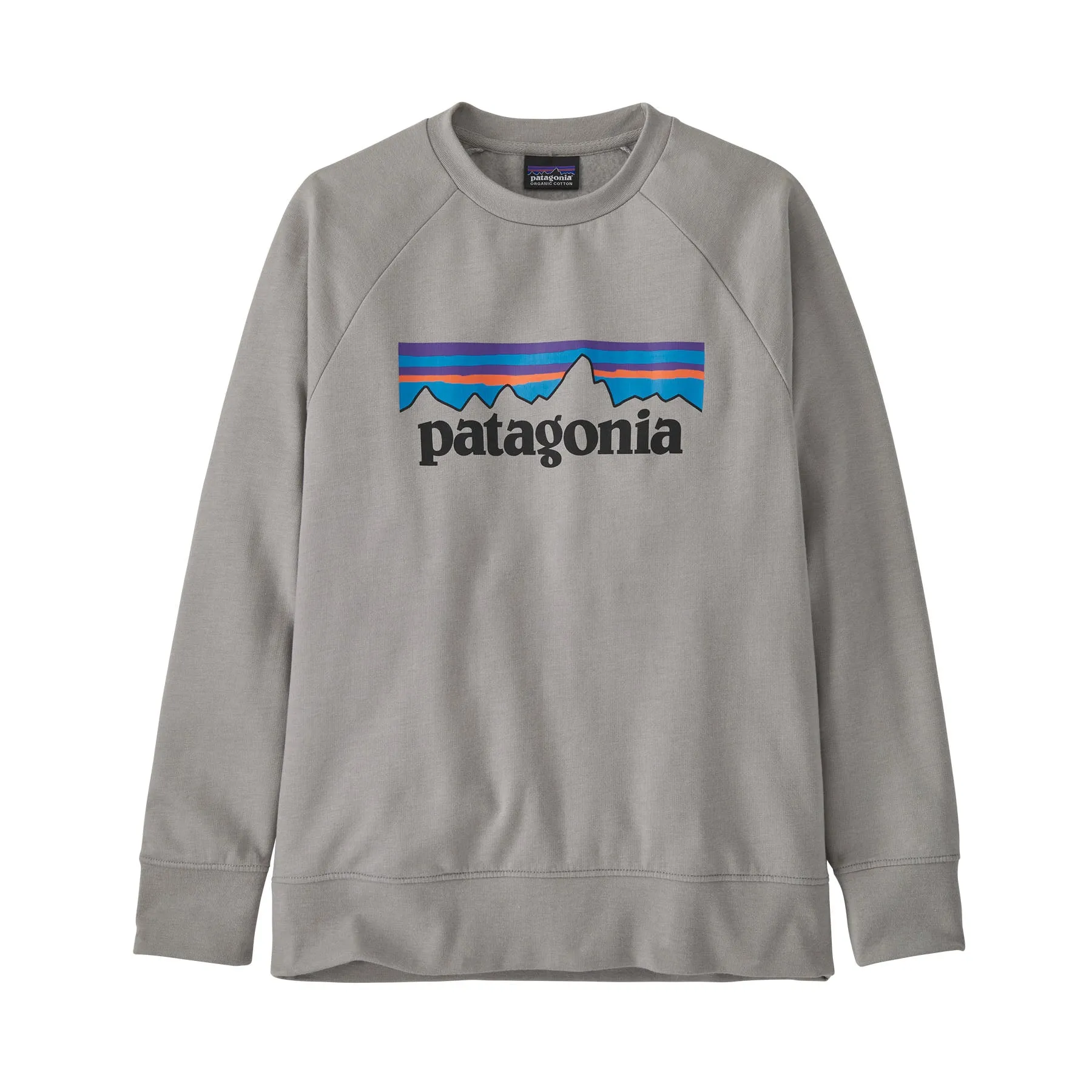 Patagonia Kids Lightweight Crew Sweatshirt